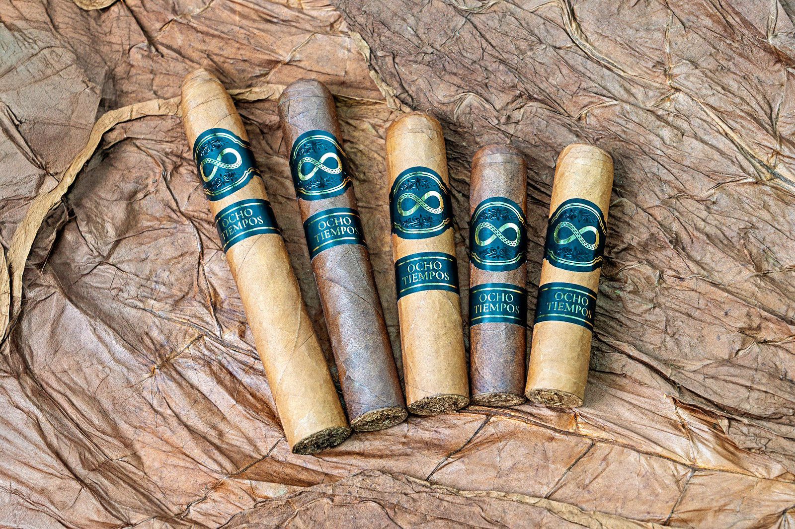 Pack de 5 cigares "Curiosos"